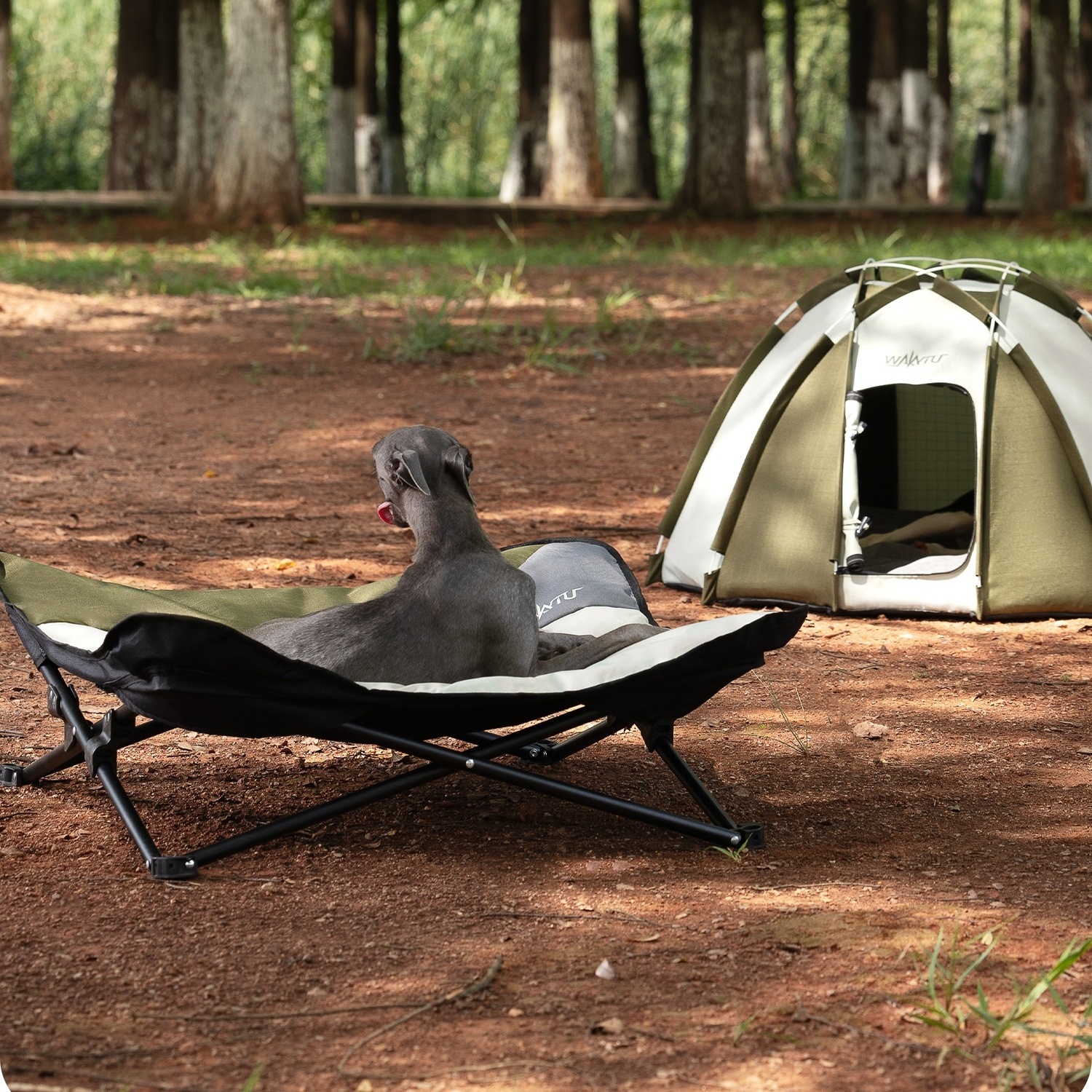Outdoor Camping Dog Bed - Foldable Pet Cot Portable Outdoor Dog