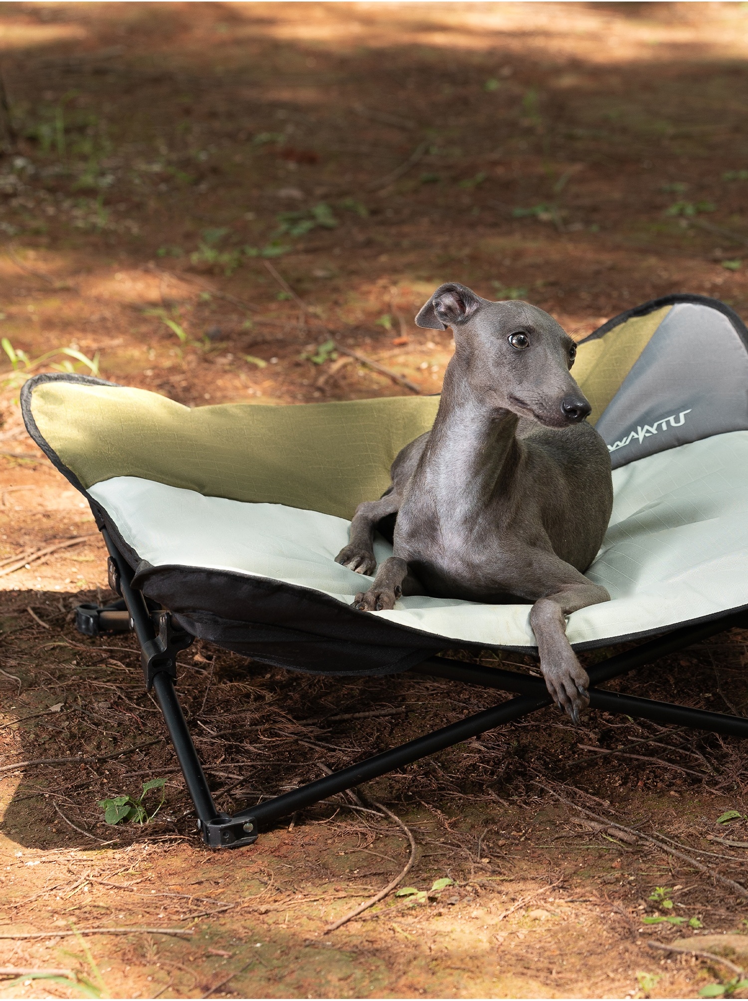 Foldable Pet Cot Portable Outd - Outdoor Camping Dog Bed ulasan dan harga