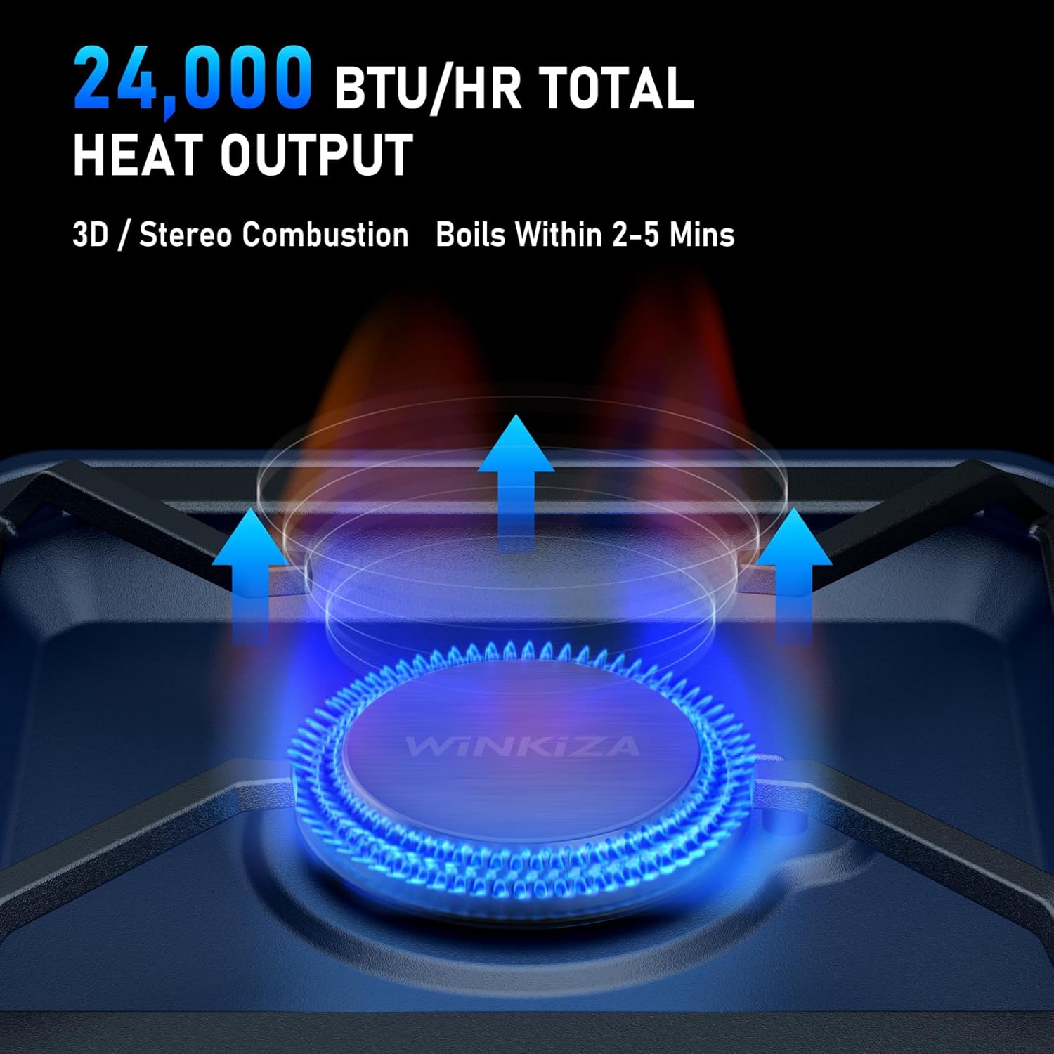 Portable 2 Burner Propane Camp - Outdoor Camping Griddle ulasan dan harga