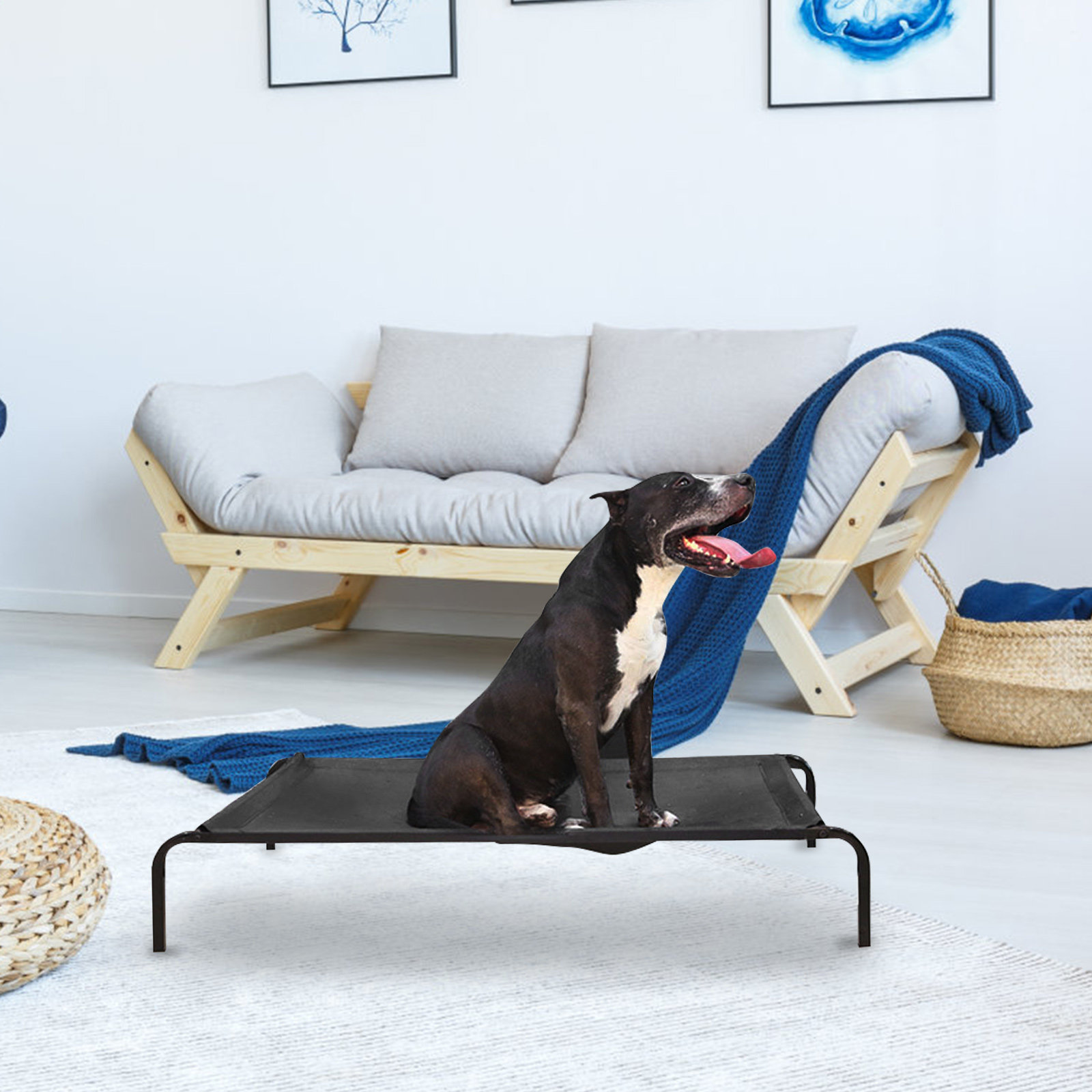 Detachable Pet Dog Elevated Be - Outdoor Camping Dog Bed ulasan dan harga