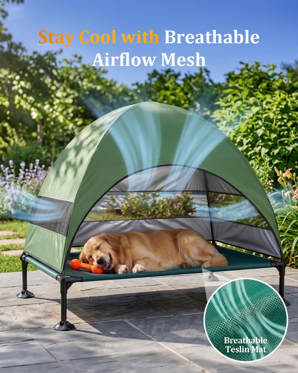 Elevated Dog Cot with Canopy,  - Outdoor Camping Dog Bed ulasan dan harga